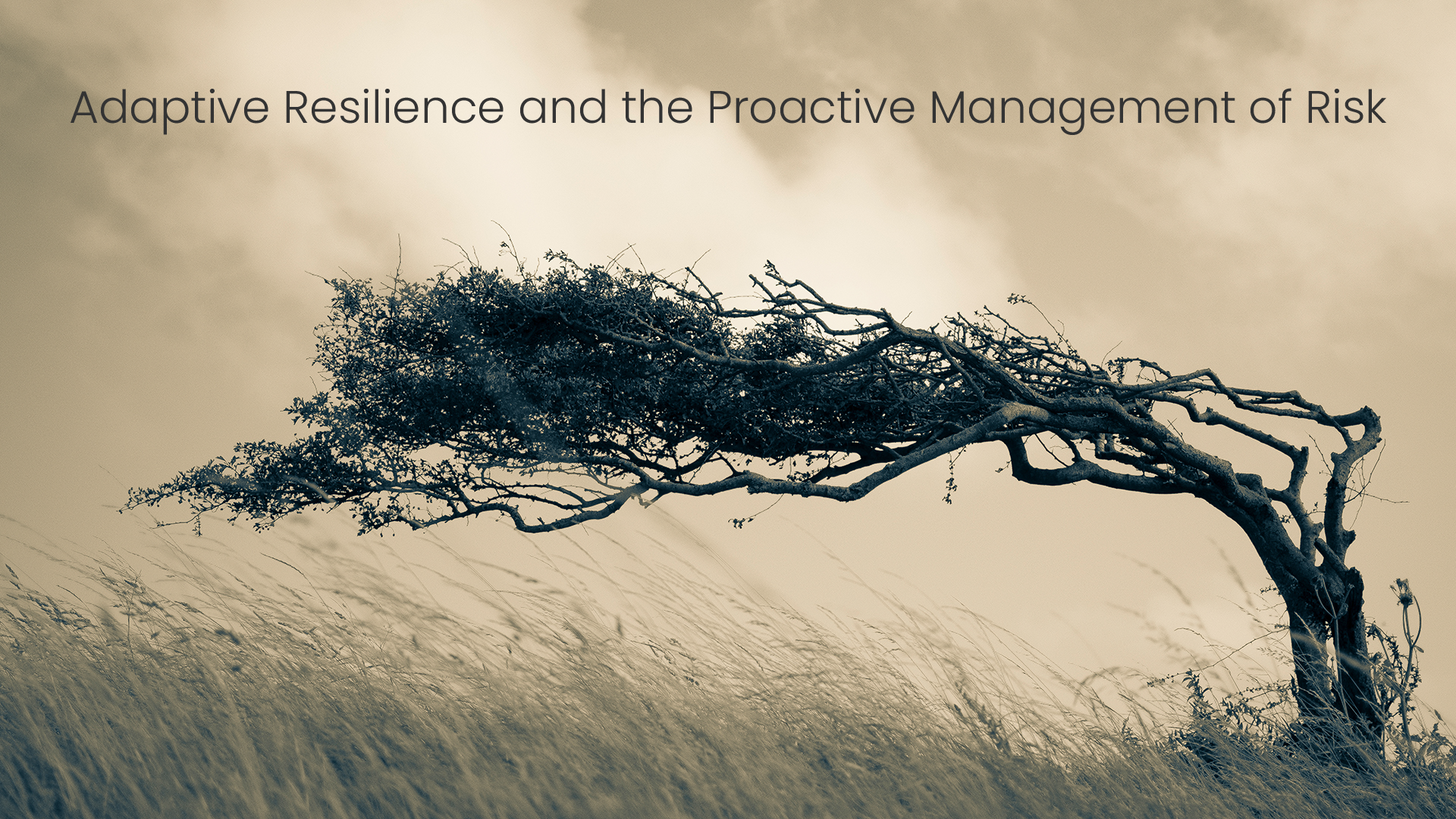 Adaptive Resilience and the Proactive Management of Risk